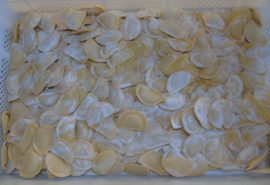 Agnolotti