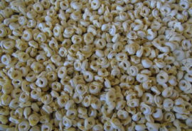 Tortellini